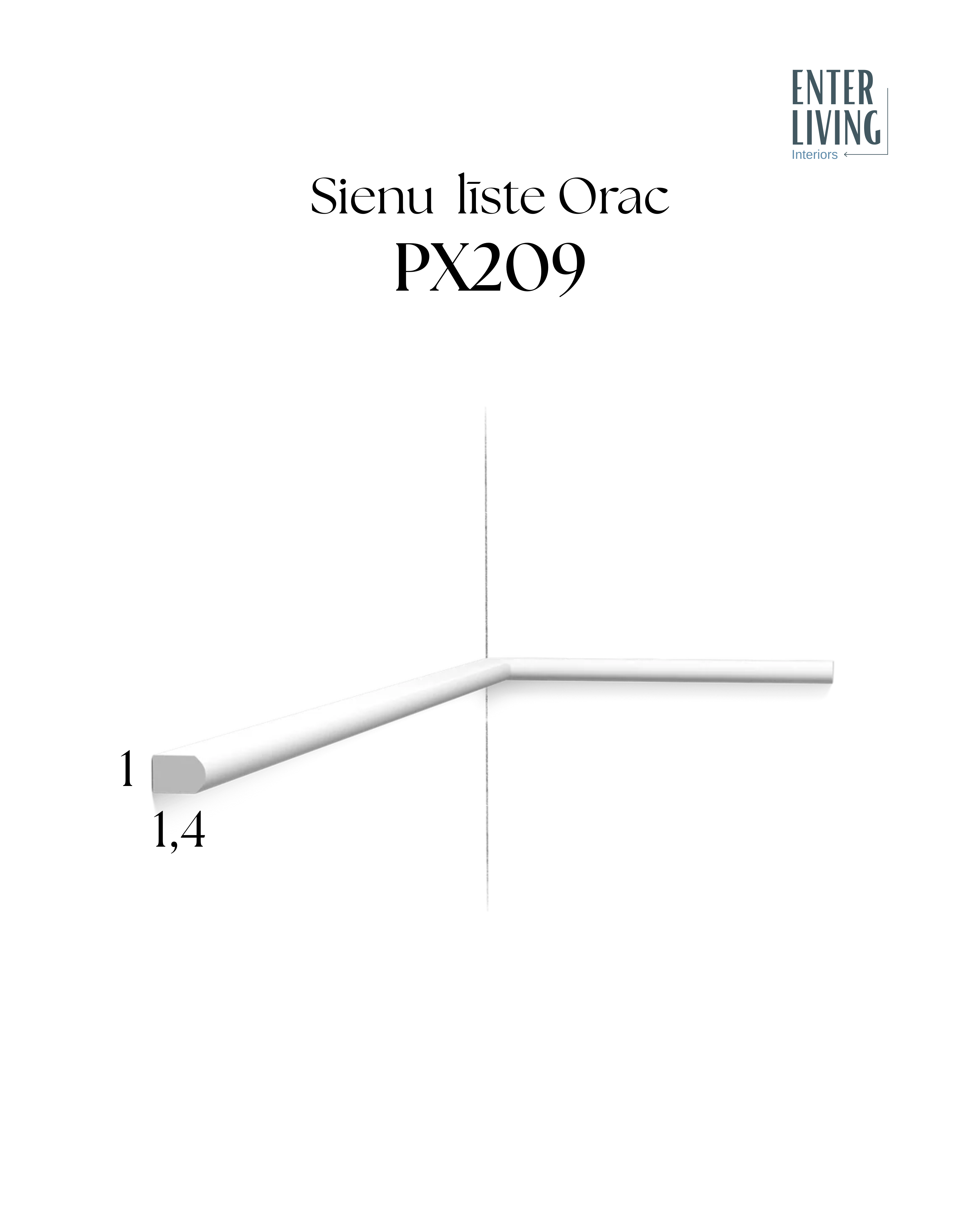 PX209 Līste RIBBON 200 x 1 x 1.4 cm