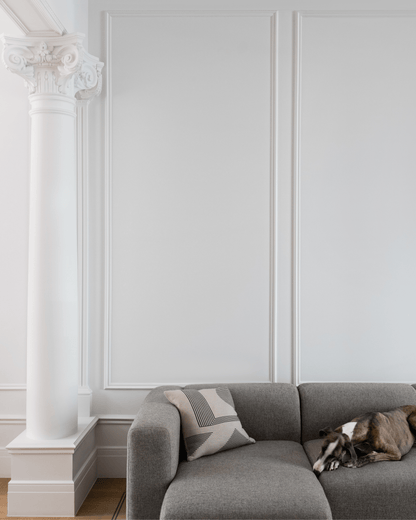 Sienas rāmis ELS02 200 x 100 cm