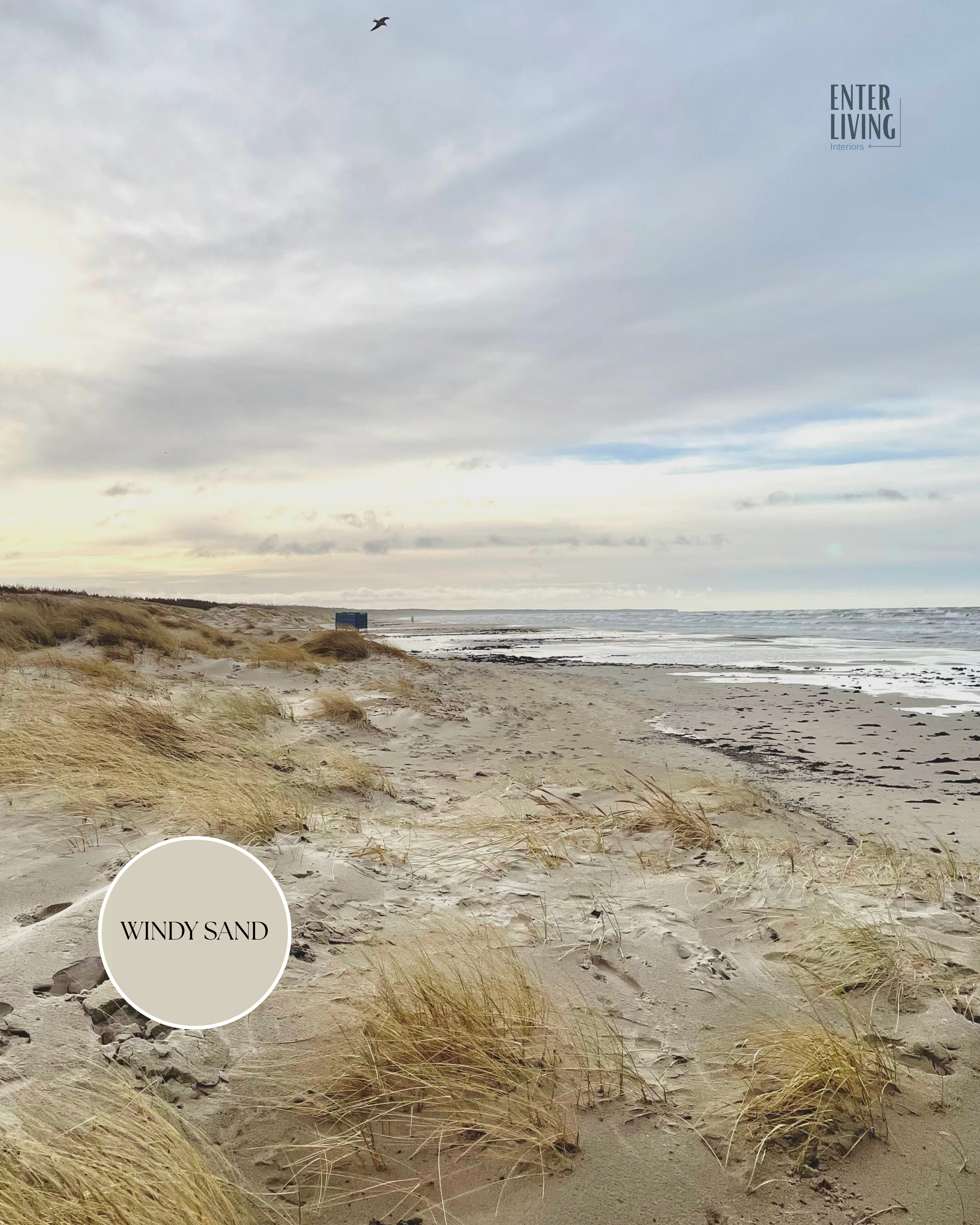 Interjera krāsa WINDY SAND